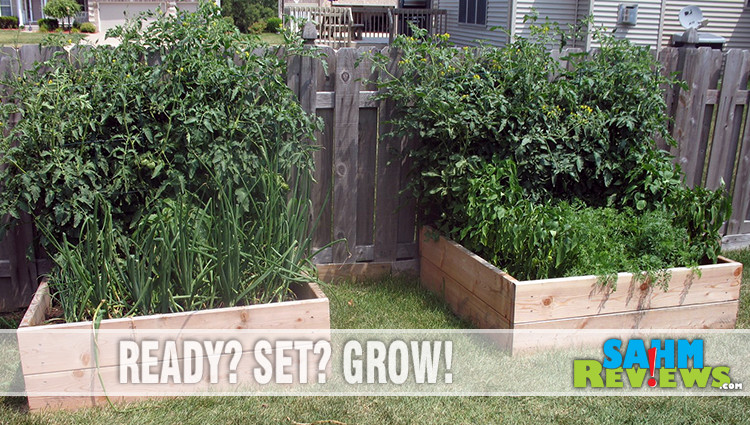 Gardening tools are essential to maintaining a backyard garden. Stock your shed with these basic garden tools. - SahmReviews.com