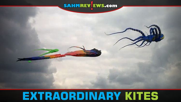 Kites are not what they used to be. You can now get almost any shape or size up in the air! Here are 16 you'll want to try for yourself! - SahmReviews.com